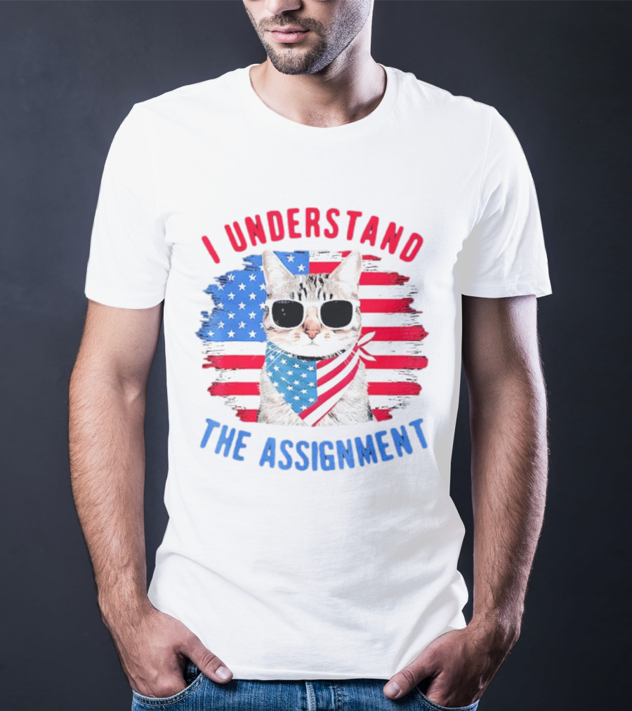 I Understand The Assignment Cat With American Flag Sunglasses And Scarf T-Shirt