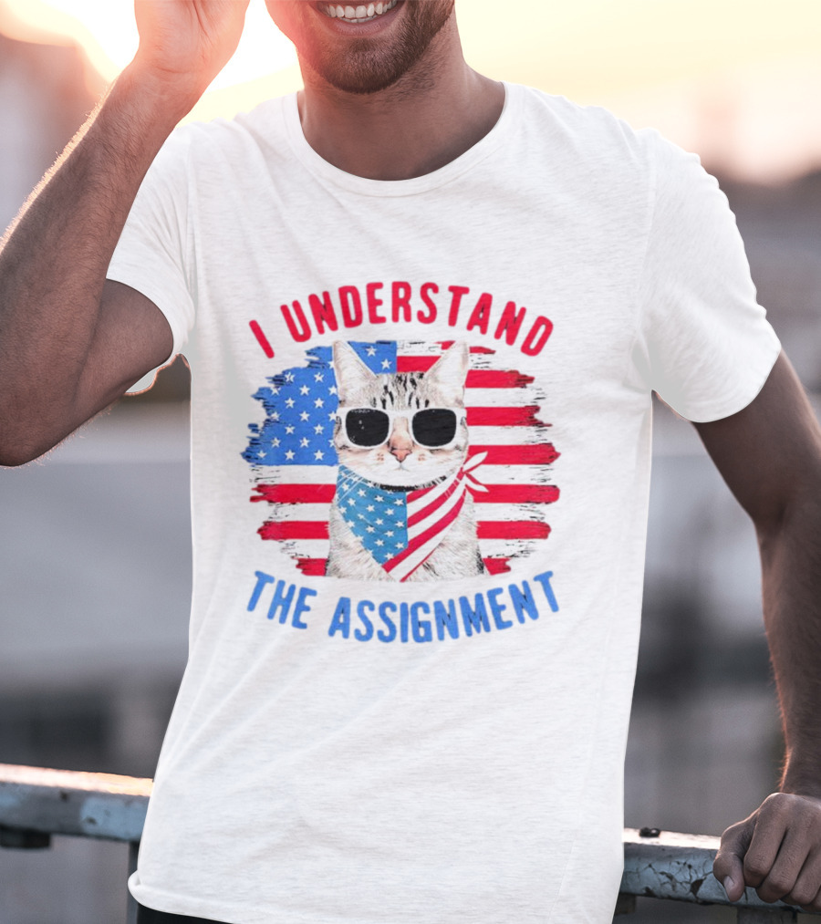I Understand The Assignment Cat With American Flag Sunglasses And Scarf T-Shirt