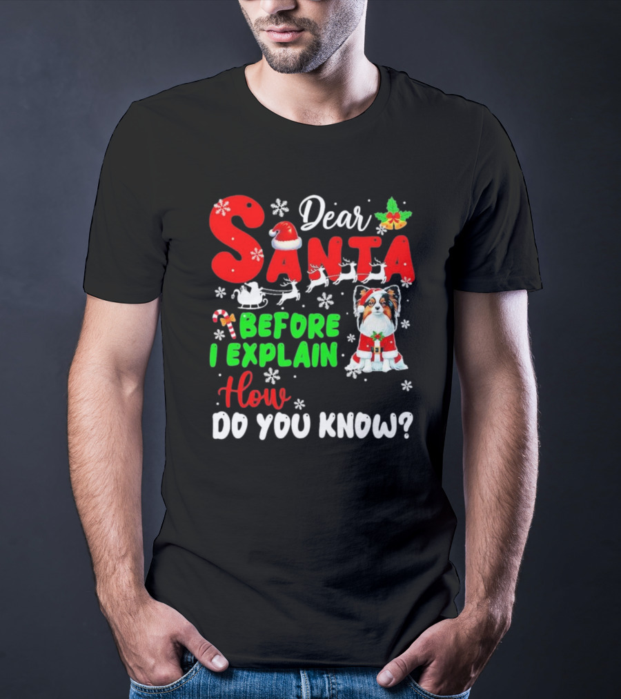 Dear Santa Before I Explain How Do You Know Santa Hat Reindeer Dog Xmas T-Shirt