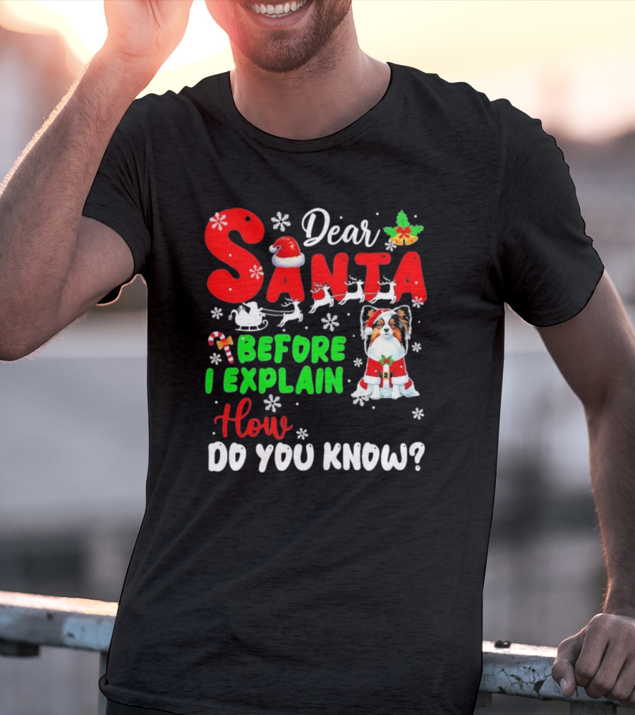 Dear Santa Before I Explain How Do You Know Santa Hat Reindeer Dog Xmas T-Shirt