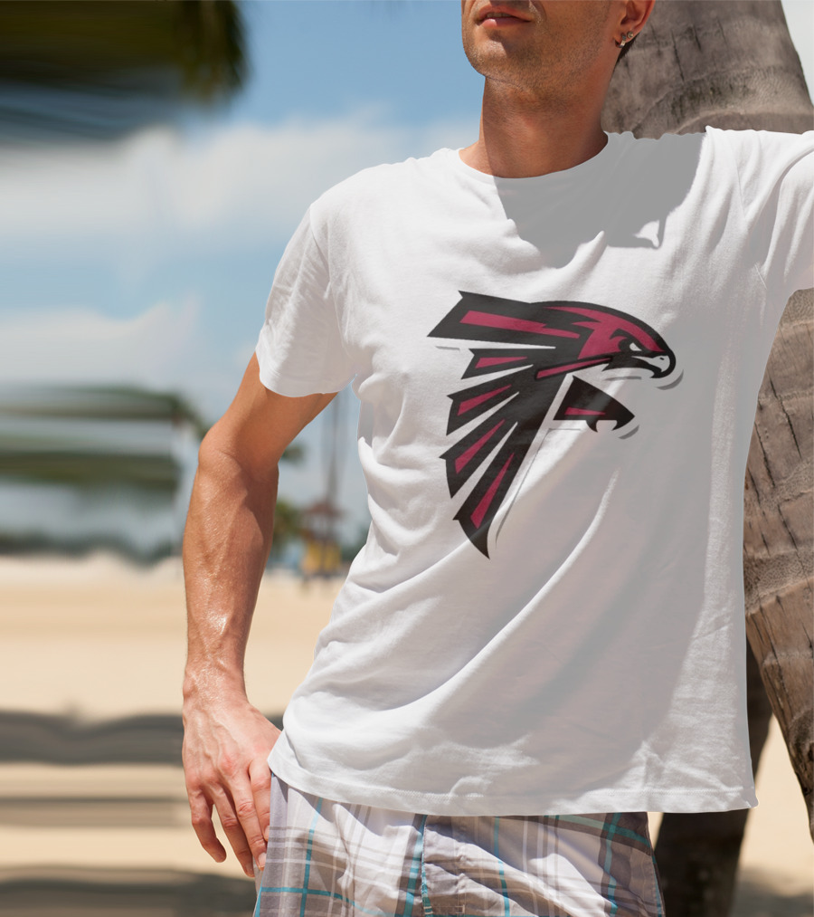 NFL NBA Atlanta Falcons Hawks Logo Mashup T-Shirt