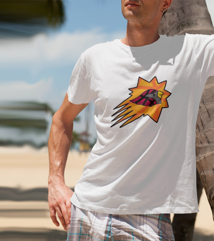 NFL NBA Cardinals Phoenix Suns Logo Mashup Combine T-Shirt