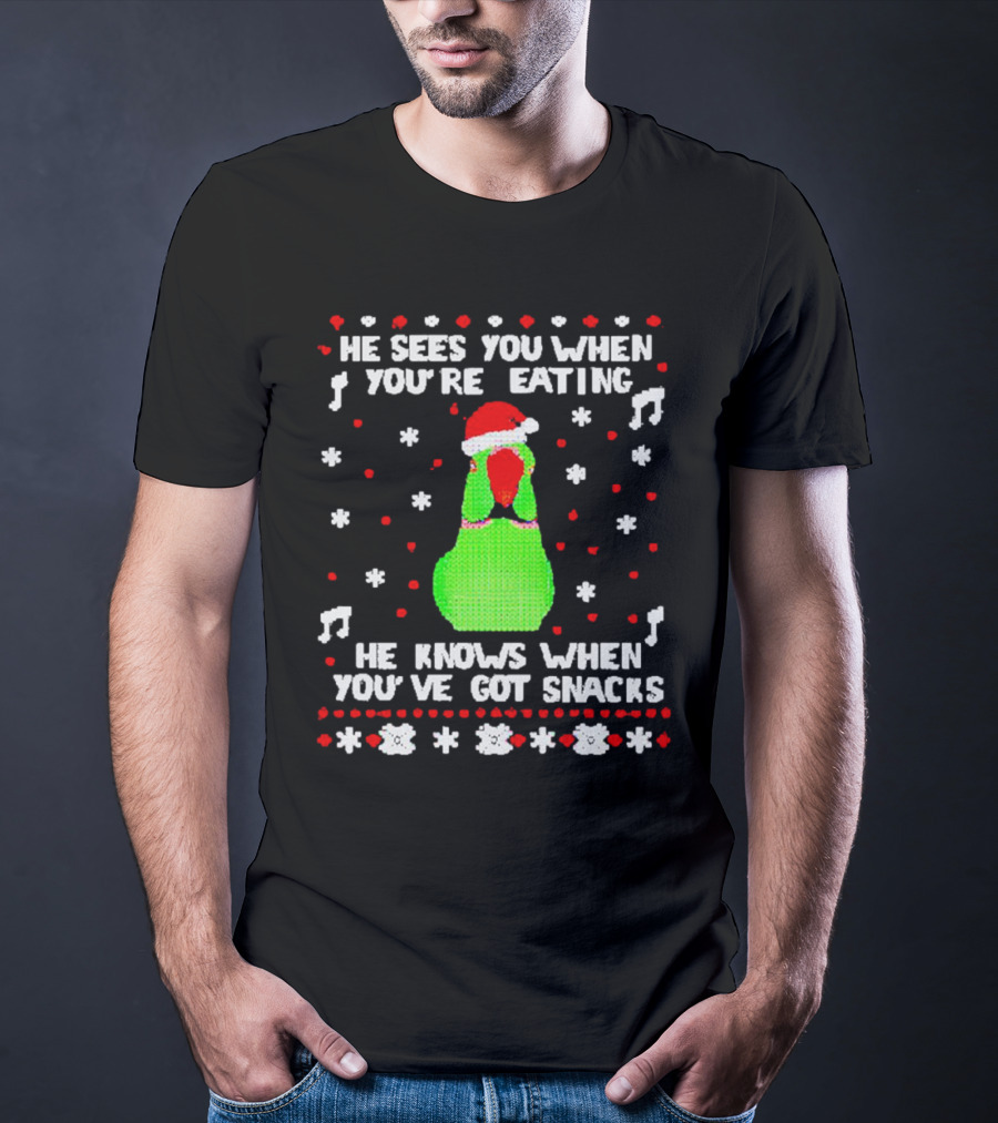 Parrot Ugly Christmas He Sees You When You’re Eating He Knows When You’ve Got Snacks T-Shirt