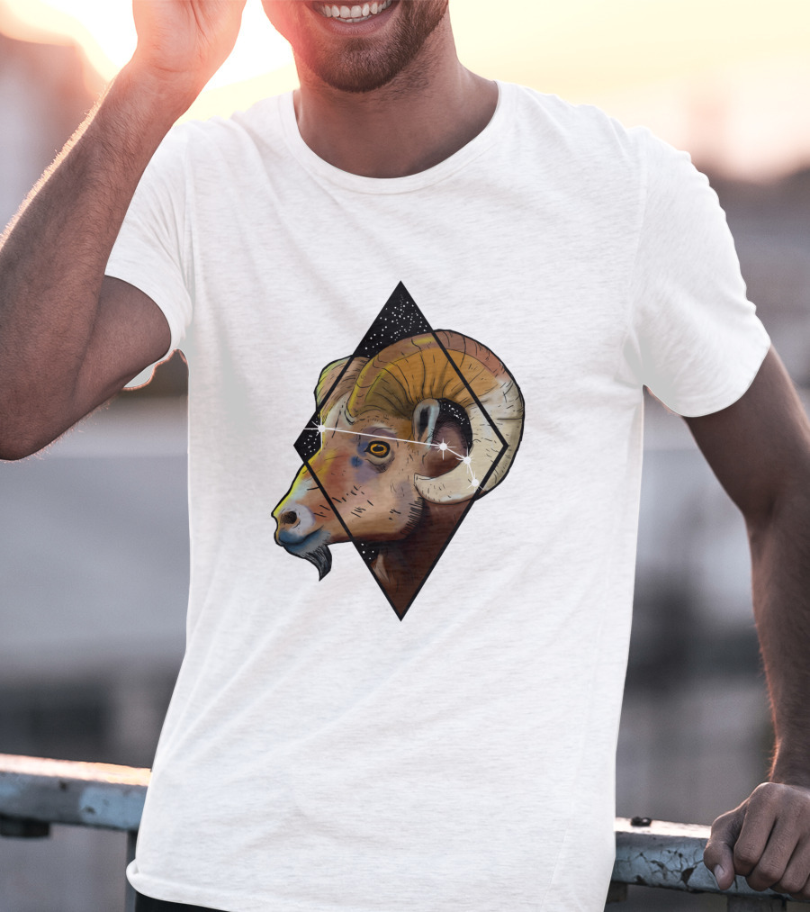 Aries Ram Starry Diamond 1041397 T-Shirt
