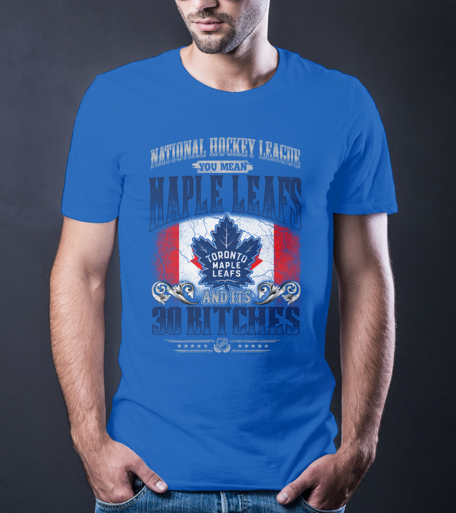 National Hockey League You Mean Toronto Maple Leafs And Its 30 Bitches T-Shirt