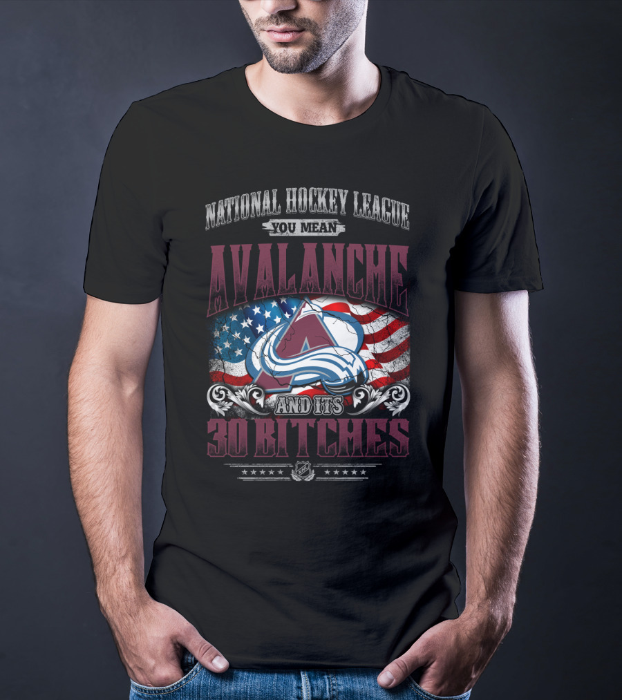 National Hockey League You Mean Avalanche And Its 30 Bitches T-Shirt