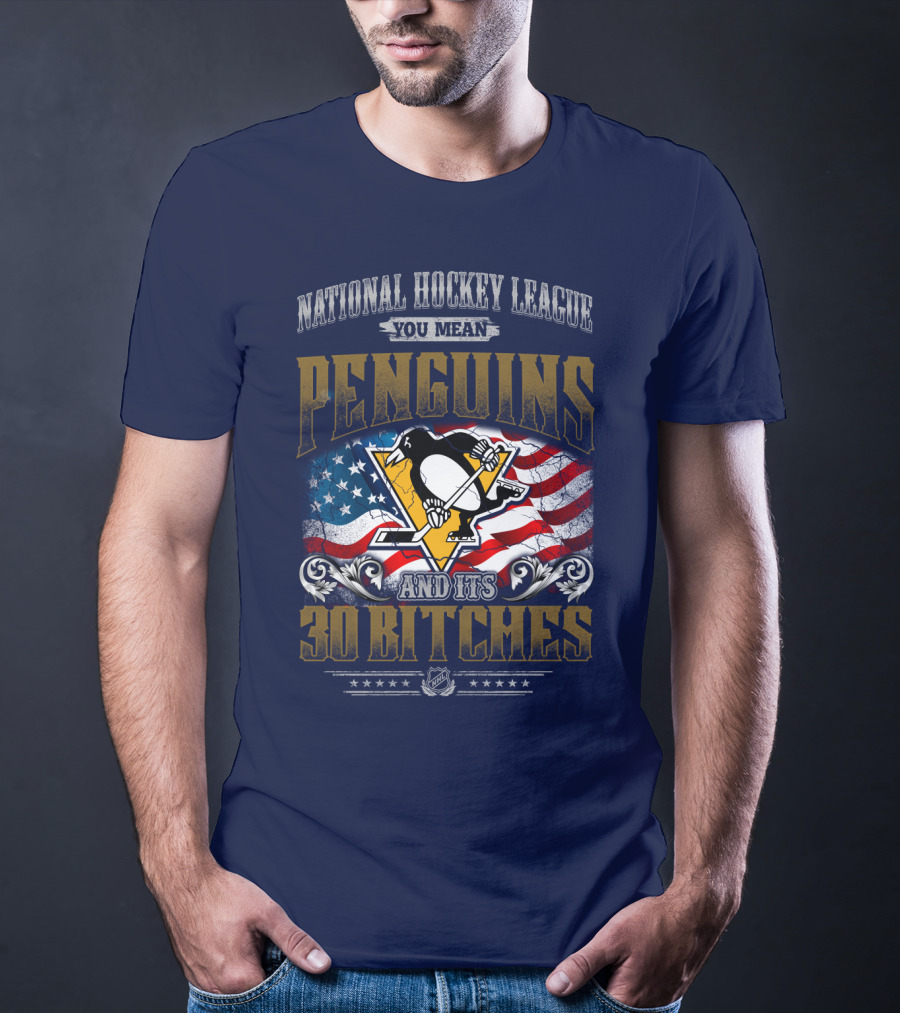 National Hockey League You Mean Penguins And Its 30 Bitches T-Shirt