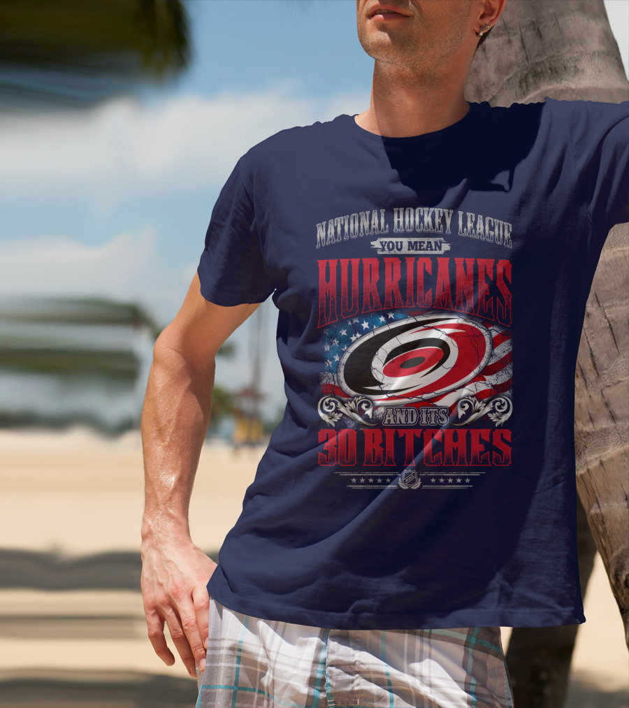 National Hockey League You Mean Hurricanes And Its 30 Bitches T-Shirt