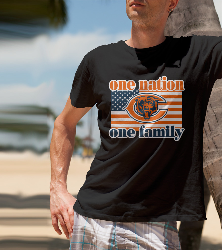 One Nation One Family Chicago Bears American Flag T-Shirt