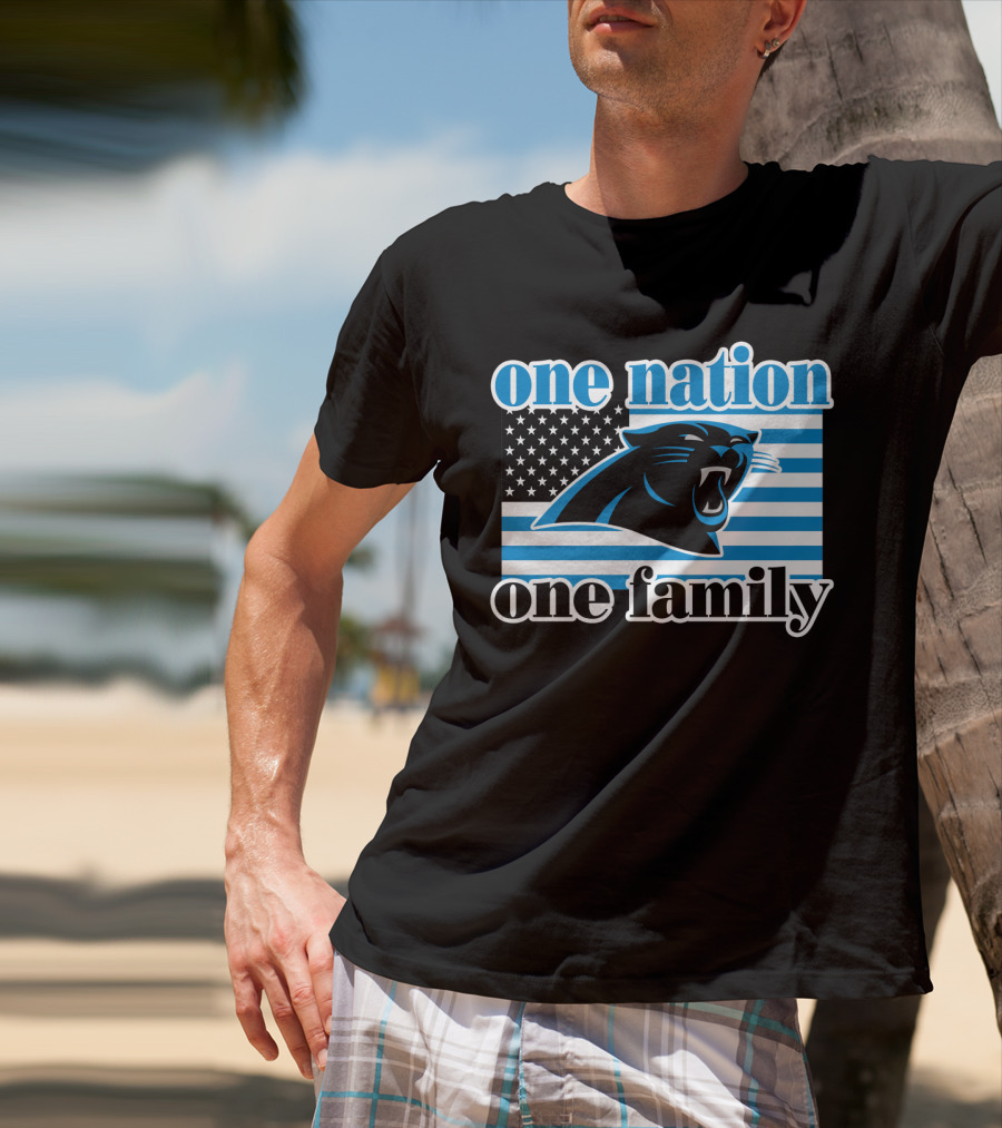 One Nation One Family Carolina Panthers 28 T-Shirt