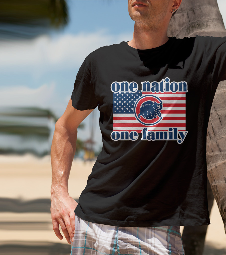 One Nation One Family 57 Chicago Cubs American Flag T-Shirt