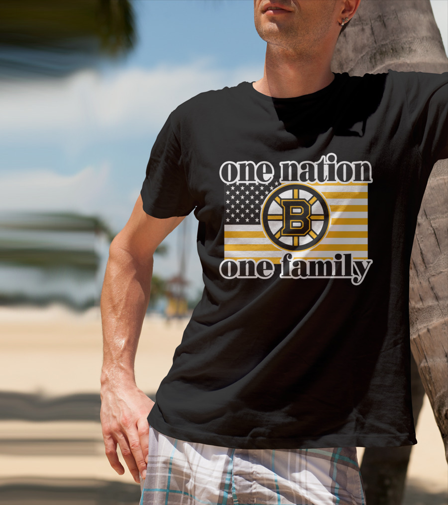 Boston Bruins One Nation One Family Flag T-Shirt