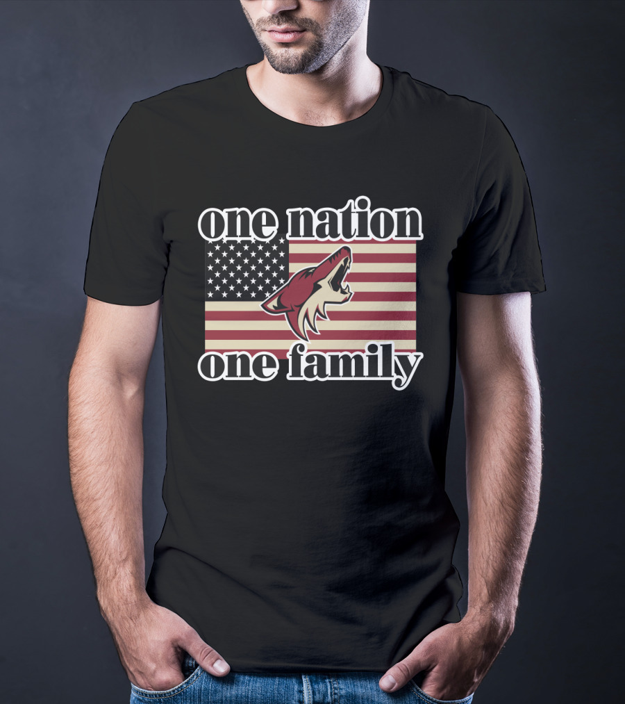 One Nation One Family Arizona Coyotes American Flag T-Shirt