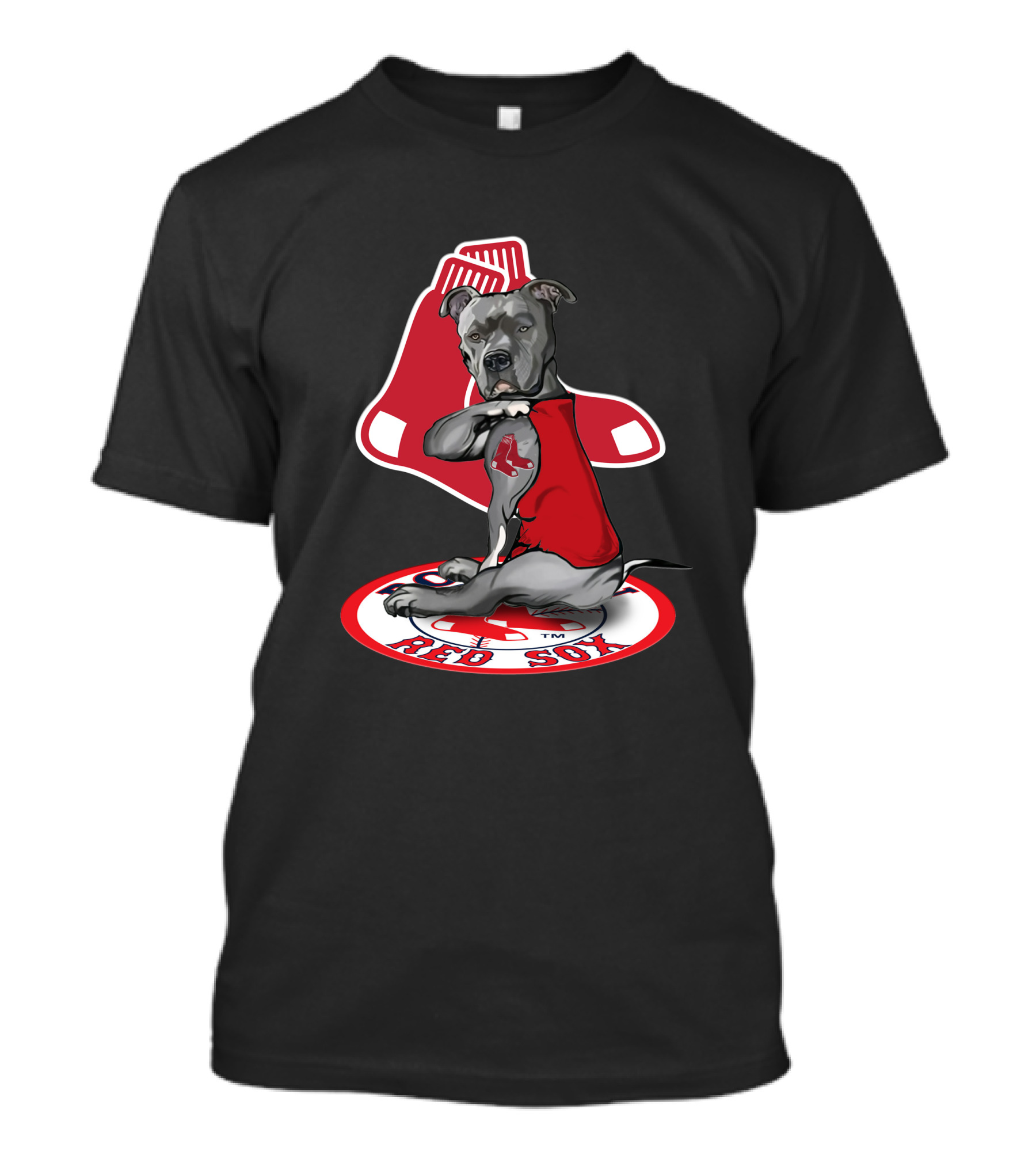 Boston Red Sox Dog Illustration With Team T-Shirt