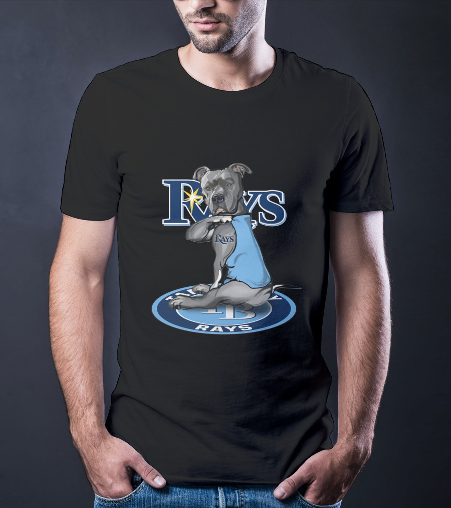 Rays Dog With Tampa Bay Rays Logo And 27-Tampa Bay Rays Circle T-Shirt