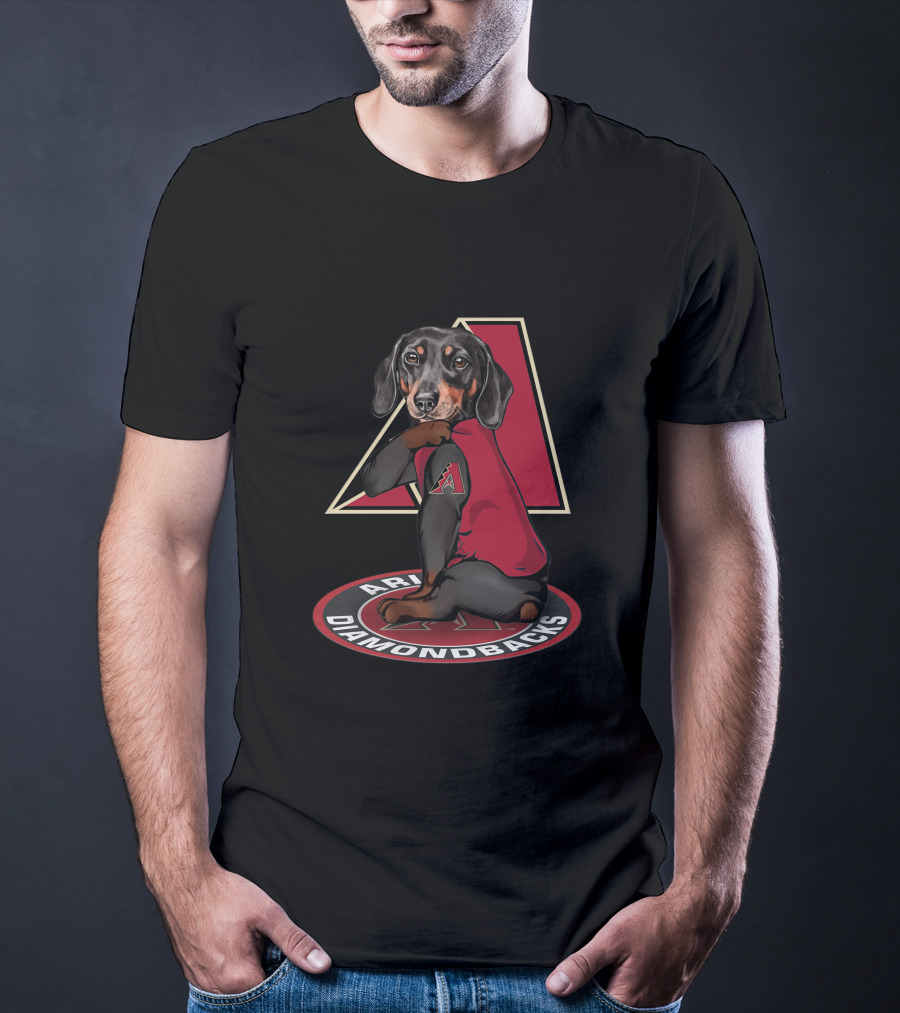 Arizona Diamondbacks Dog With Team Logo And T-Shirt