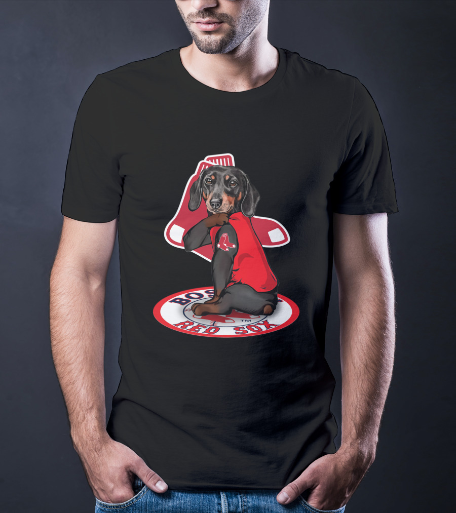 Boston Red Sox Dachshund Sitting On Logo Sox Shirt T-Shirt