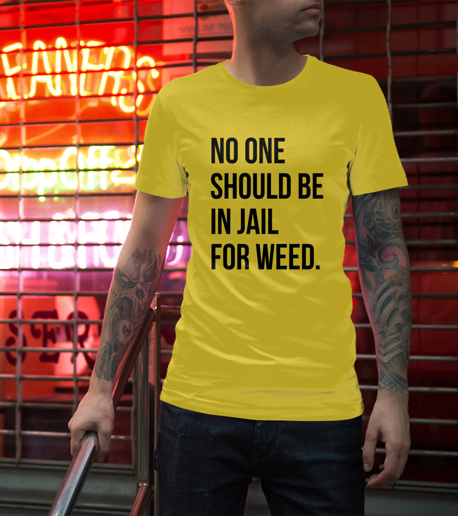 No One Should Be In Jail For Weed Gisele Barreto Fetterman We Go High Shop T-Shirt