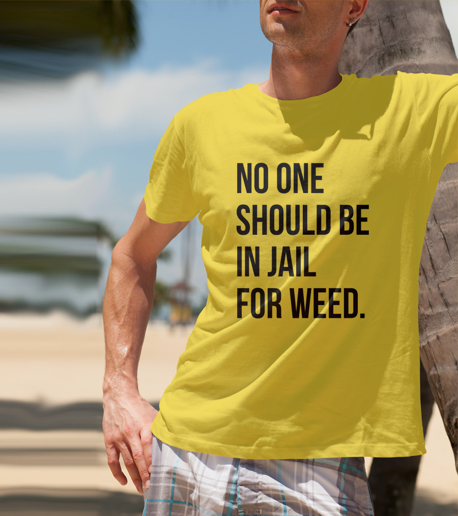 No One Should Be In Jail For Weed Gisele Barreto Fetterman We Go High Shop T-Shirt