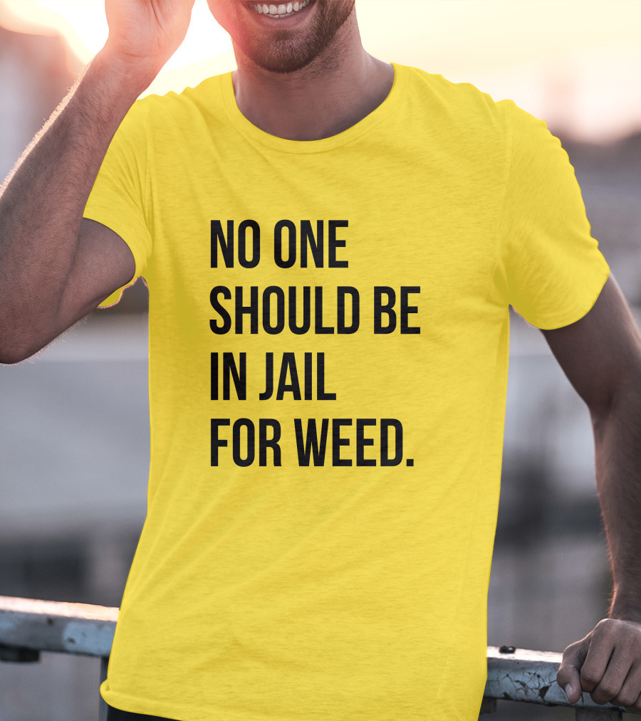 No One Should Be In Jail For Weed Gisele Barreto Fetterman We Go High Shop T-Shirt