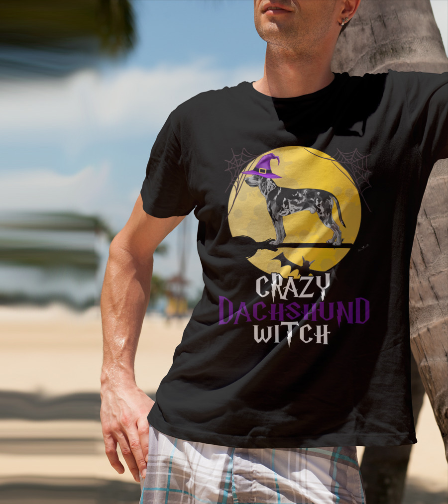 Crazy Dachshund Witch Dog With Purple Hat And Broom Halloween T-Shirt