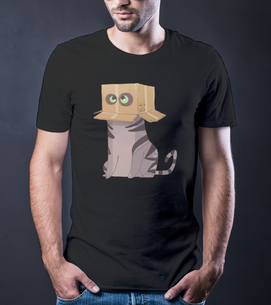 Cat In The Box With Big Eyes Wearing Cardboard Hat T-Shirt