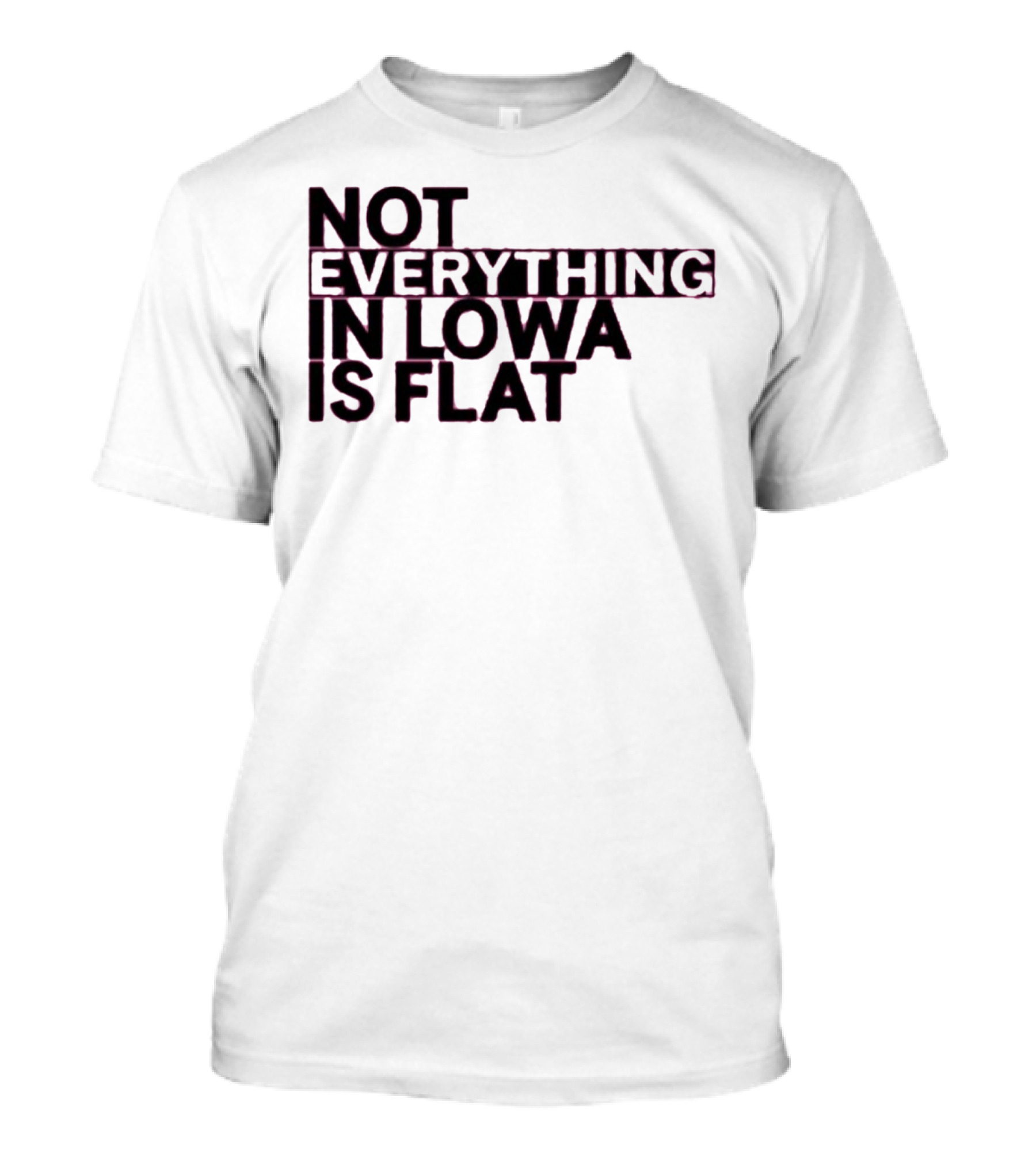 Not Everything In Iowa Is Flat T-Shirt