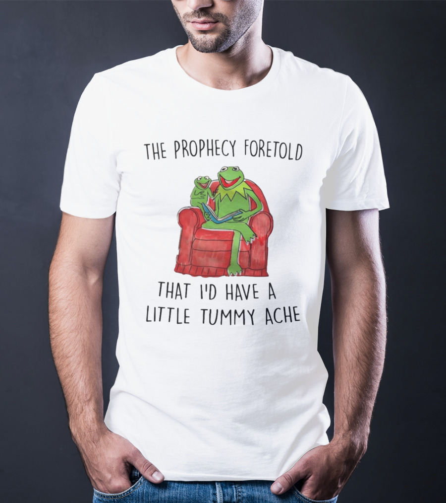 The Prophecy Foretold That I'd Have A Little Tummy Ache - Frog Reading On Red Armchair T-Shirt