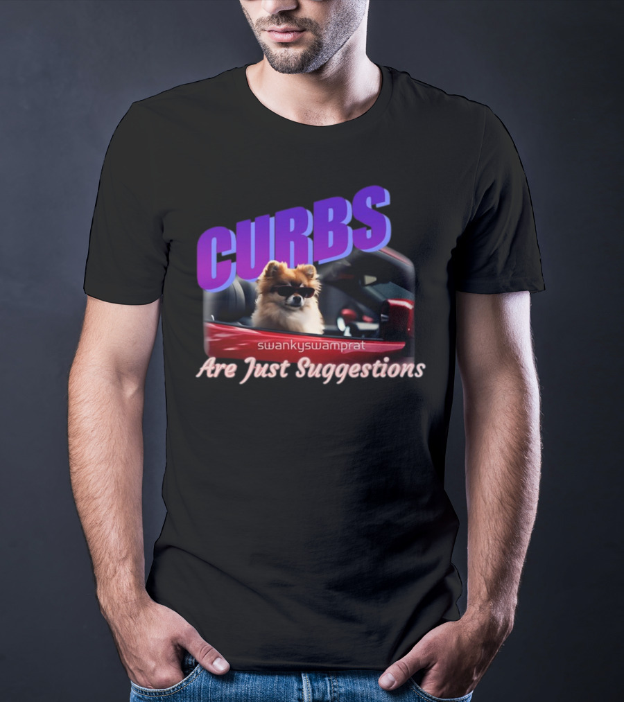 Curbs Are Just Suggestions SwankySwamprat Dog In Car T-Shirt