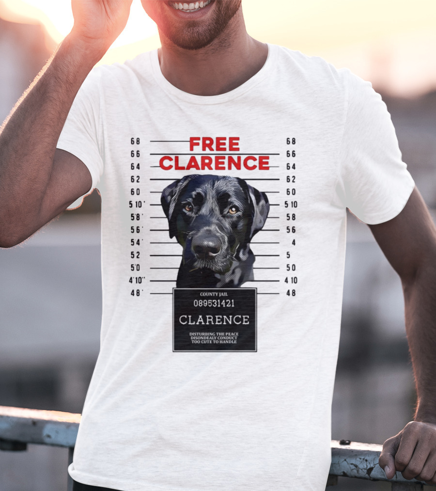 Free Clarence County Jail Disturbing The Peace Disorderly Conduct Too Cute To Handle T-Shirt