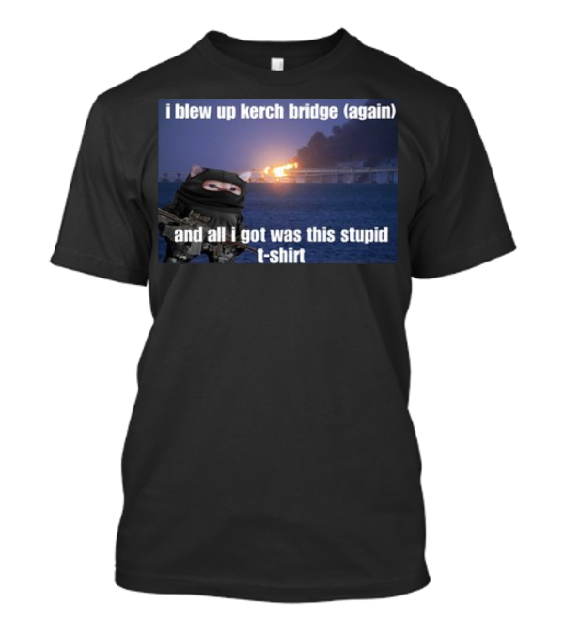 I Blew Up Kerch Bridge Again All I Got Was This Stupid T-Shirt Cat Soldier Explosion T-Shirt