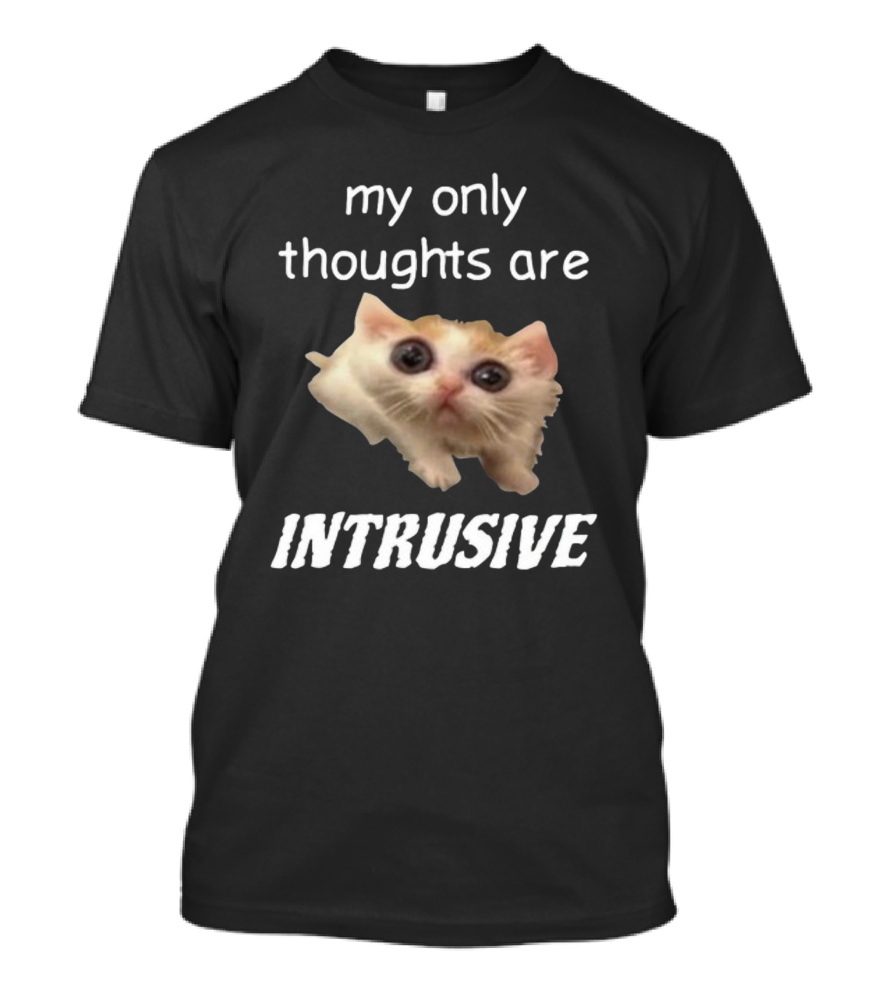 My Only Thoughts Are Intrusive Cat Meme T-Shirt