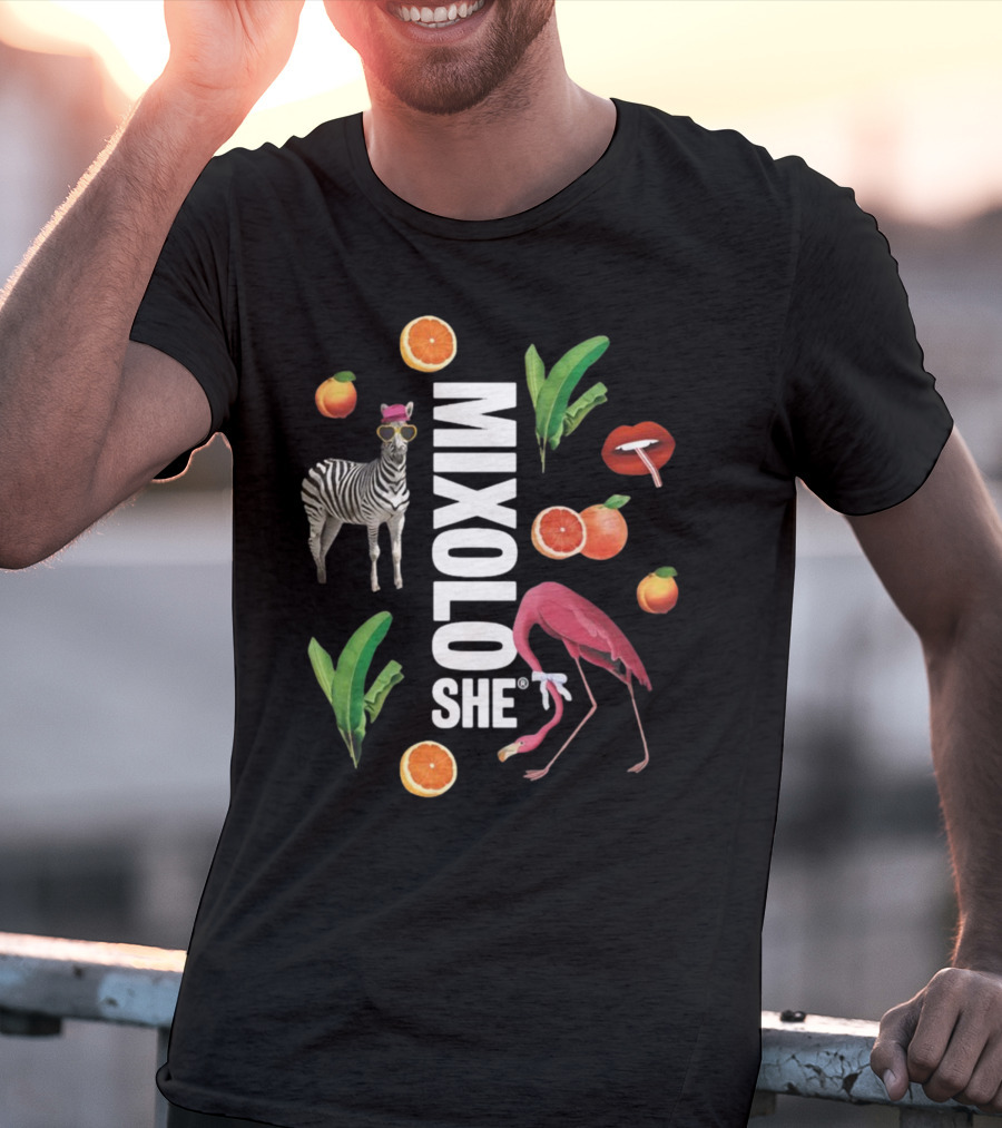 Mixoloshe Zebra Flamingo Lips With Fruits And Leaves T-Shirt