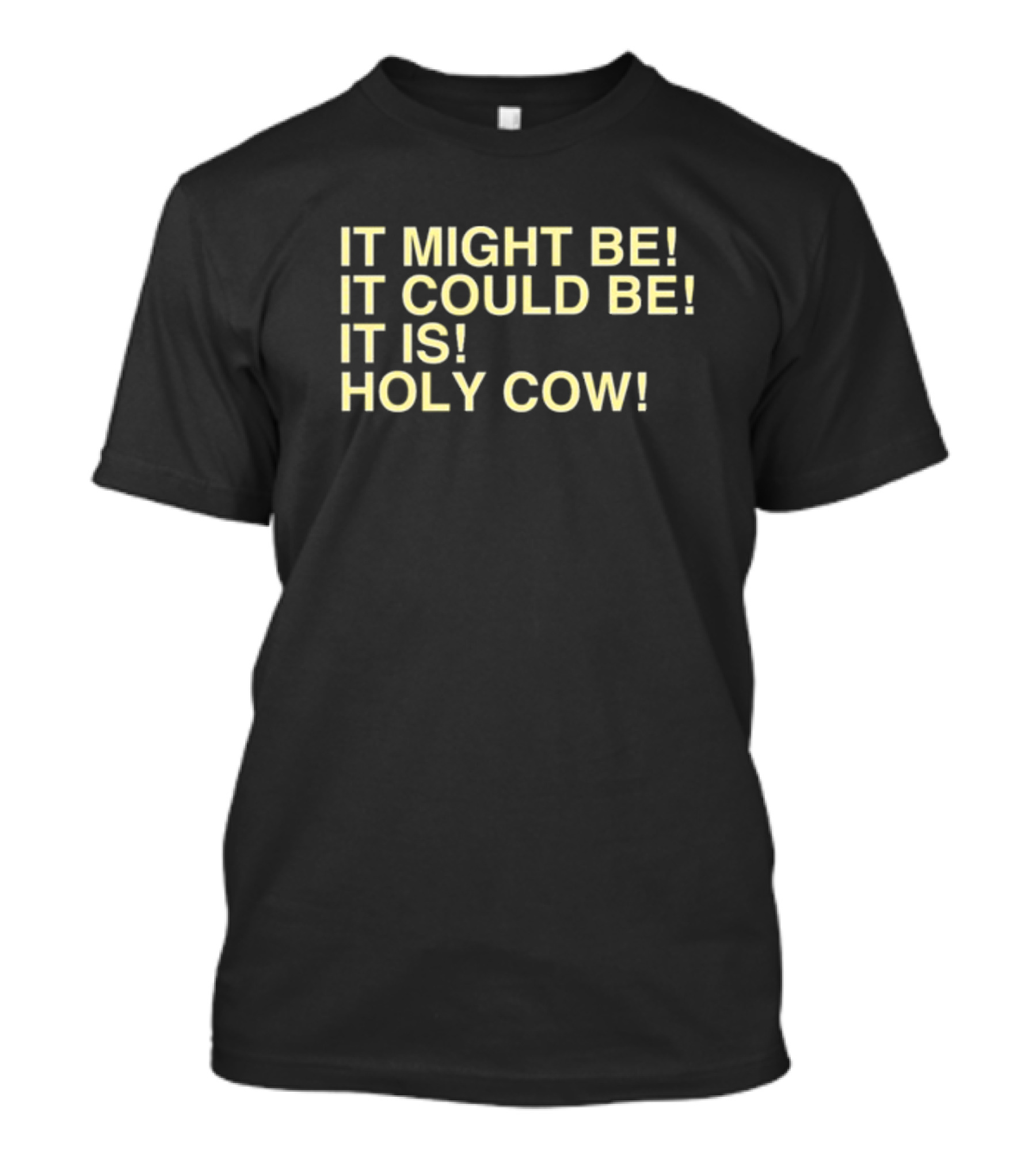 It Might Be It Could Be It Is Holy Cow Baseball Phrase T-Shirt