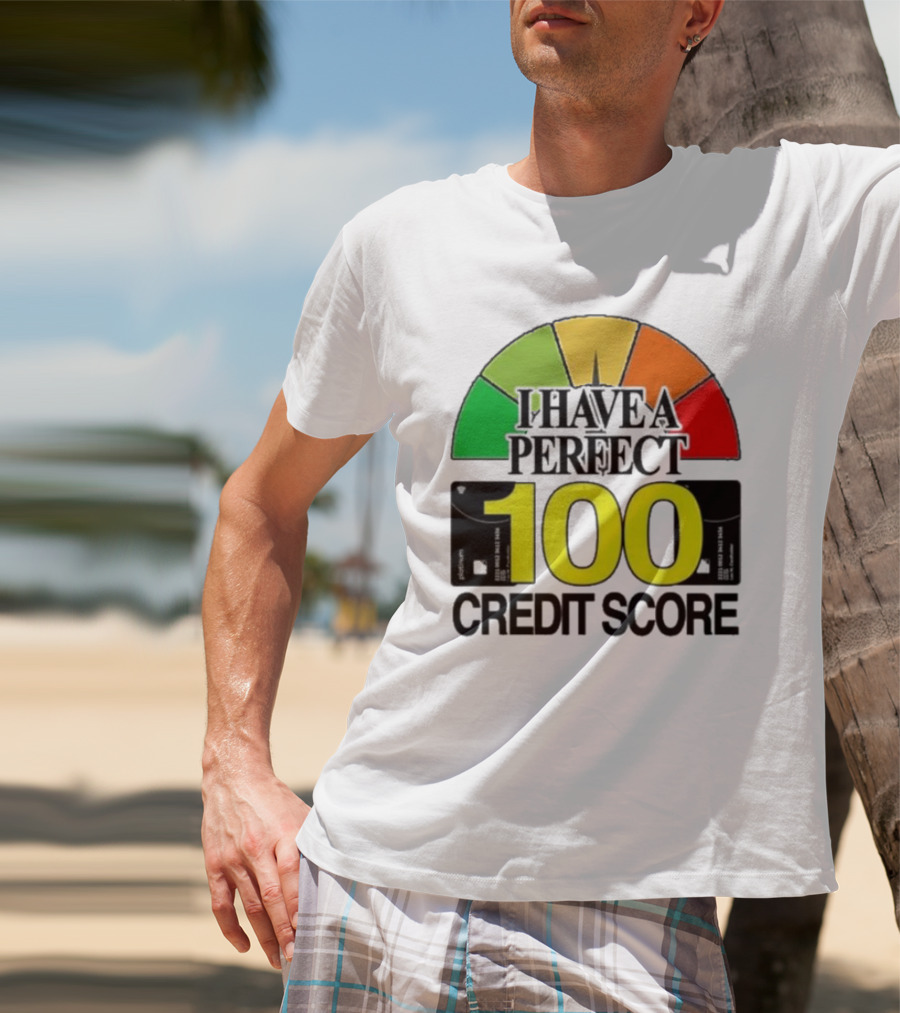 I Have A Perfect 100 Credit Score Gauge Graph T-Shirt