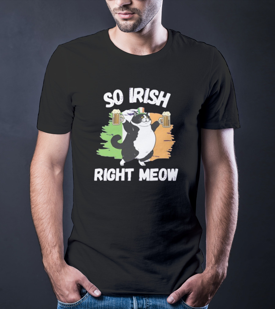 So Irish Right Meow Cat Holding Beer With Irish Flag In Background T-Shirt