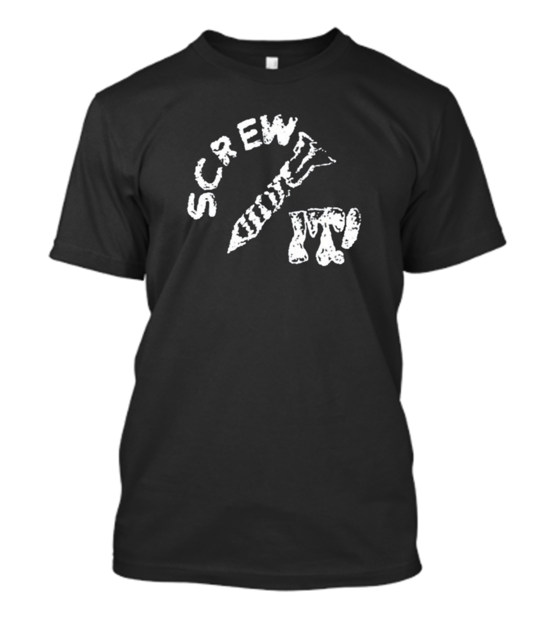 Protect The Youth Screw It I Guess I'll Keep Trying Screw It T-Shirt