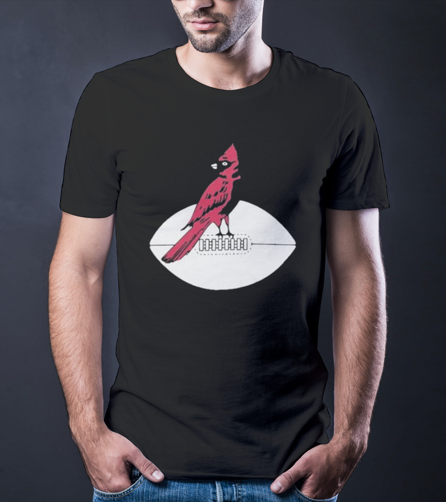 Arizona Cardinals Vintage Cardinal On Football T-Shirt