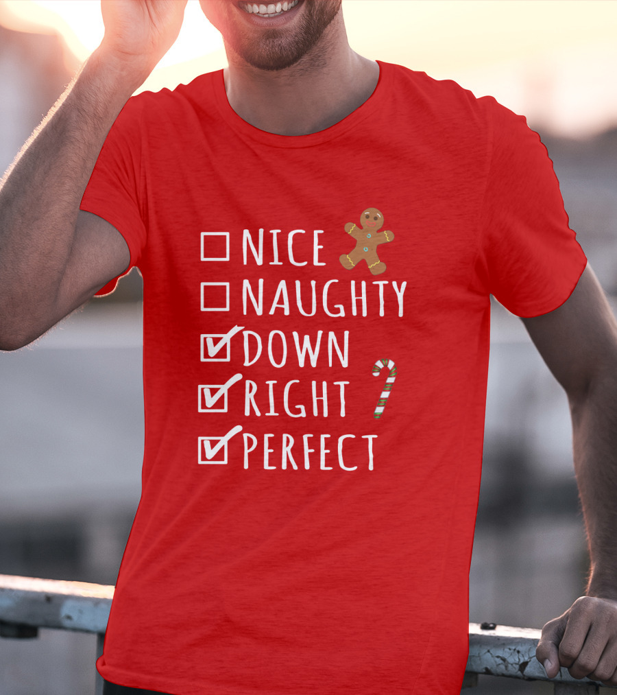 Nice Naughty Down Right Perfect Gingerbread Candy Cane Holiday Checklist T-Shirt