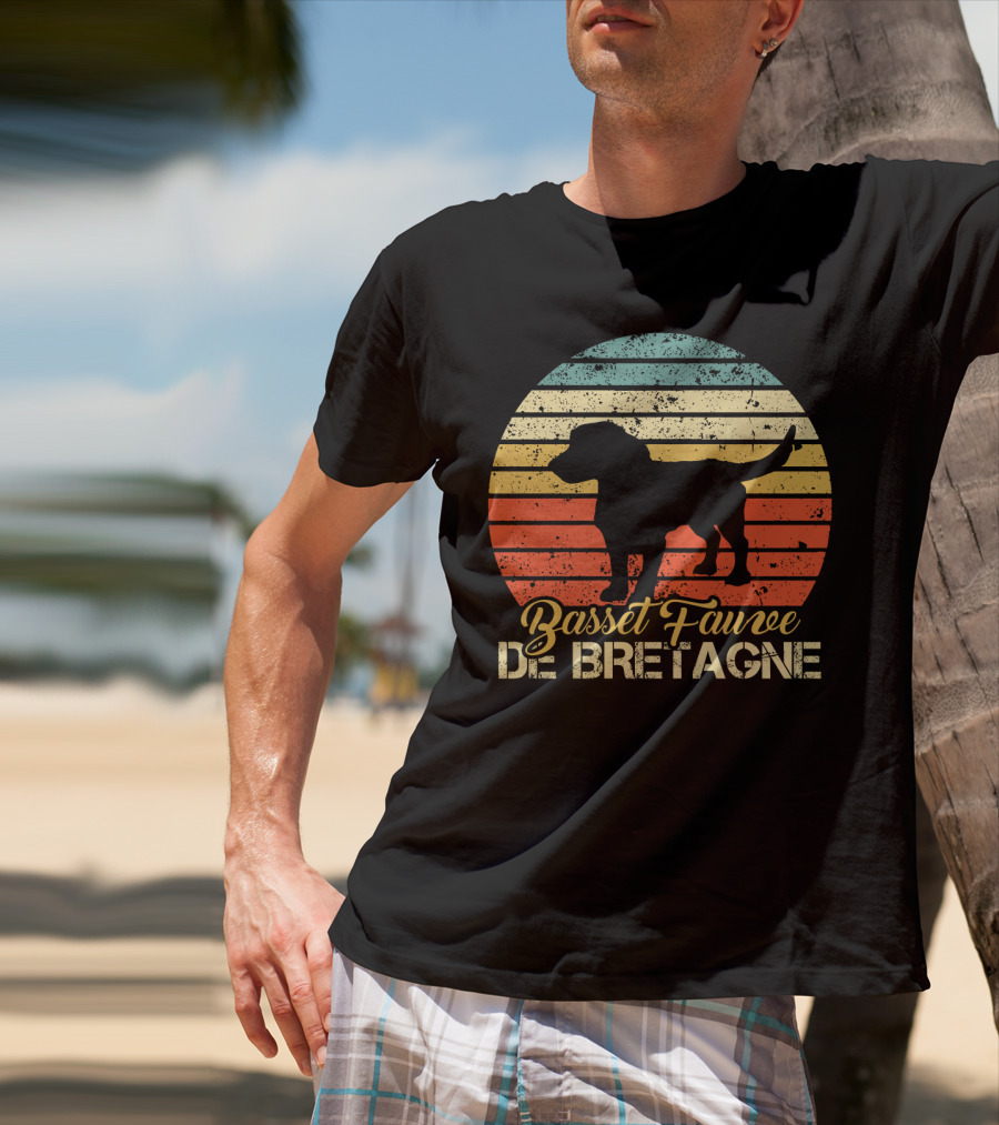 Retro Stripes Basset Fauve De Bretagne Silhouette Vintage T-Shirt