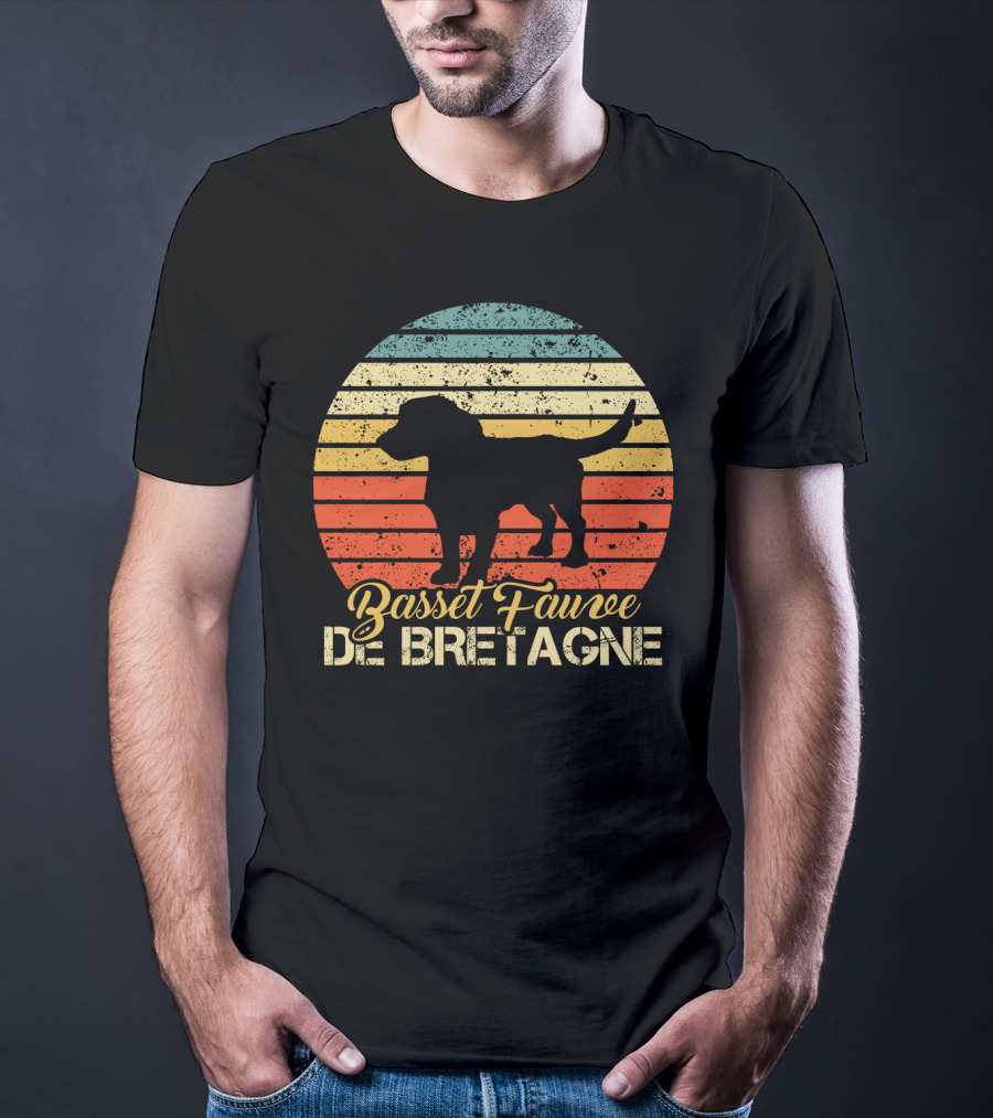Retro Stripes Basset Fauve De Bretagne Silhouette Vintage T-Shirt