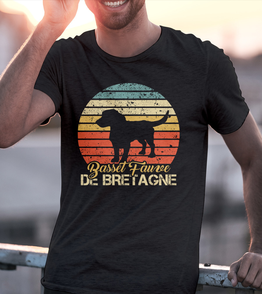 Retro Stripes Basset Fauve De Bretagne Silhouette Vintage T-Shirt