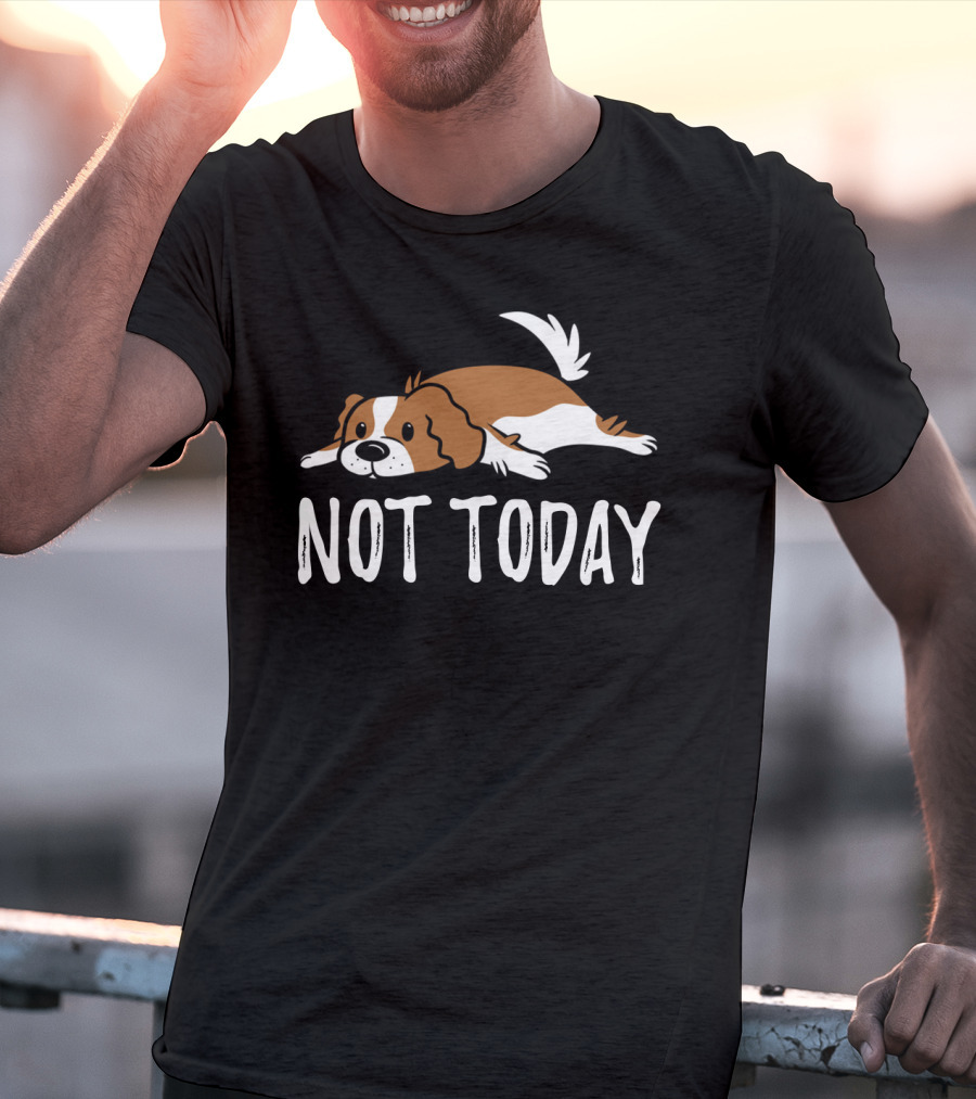 Cavalier King Charles Dog Not Today Relaxed Mood T-Shirt