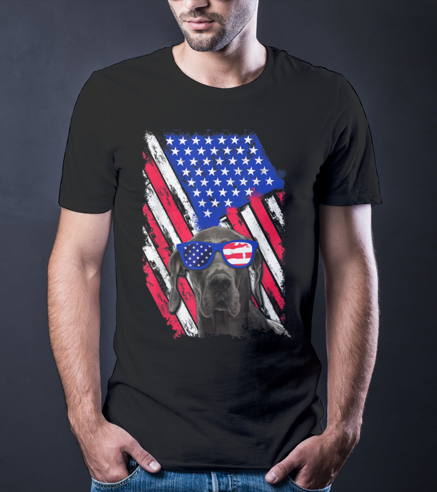 Vintage Distressed Great Dane With American USA Flag Sunglasses T-Shirt