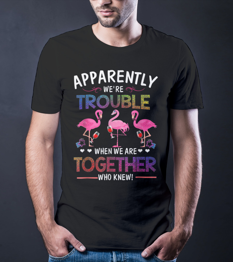 Apparently We're Trouble When We Are Together Who Knew Flamingo Wine Glass Party T-Shirt