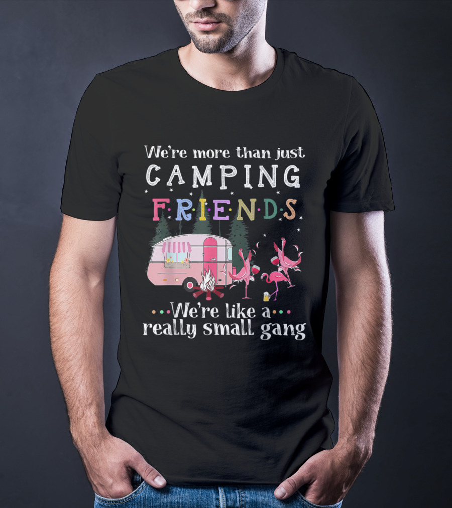 We're More Than Just Camping Friends Flamingo Like A Really Small Gang T-Shirt
