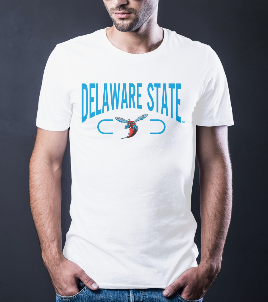 Delaware State Hornets 2.0 Champion T-Shirt