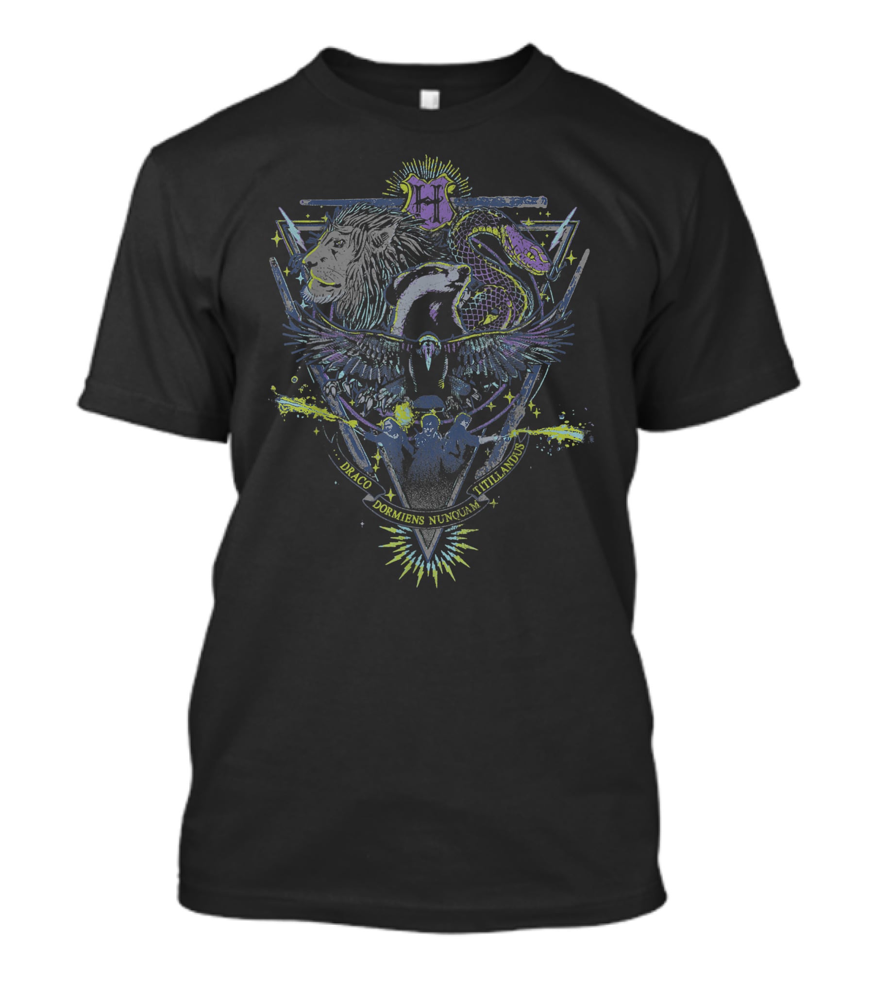 Draco Dormiens Nunquam Titillandus Gryffindor Slytherin Ravenclaw Hufflepuff T-Shirt