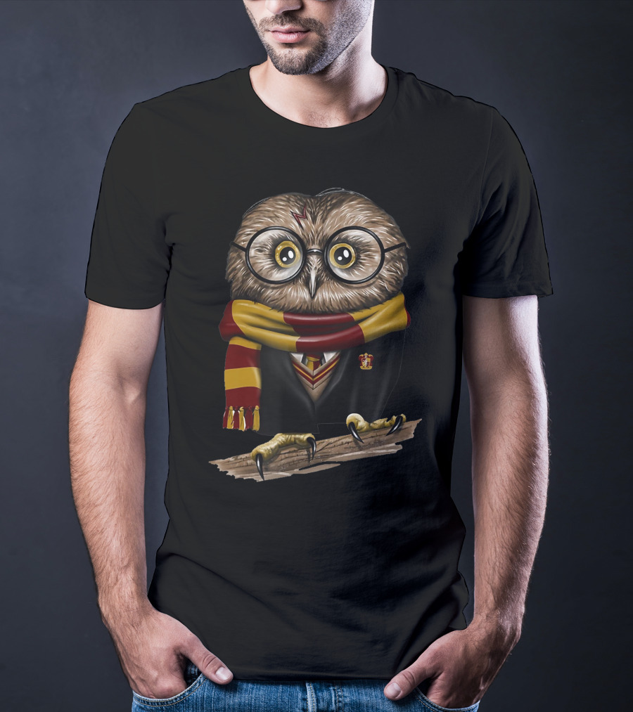 Exclusive Owl Wizard Inspired By Only Today Magic School House Colors T-Shirt