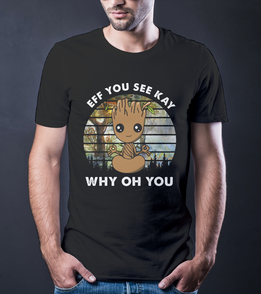Eff You See Kay Why Oh You Today T-Shirt